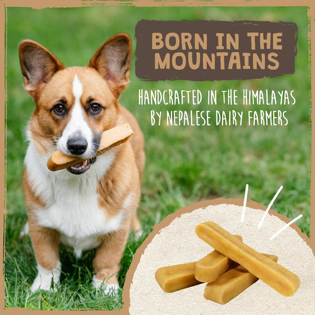 Mighty Paw Yak Cheese Dog Chews ‰ÛÒ All-Natural Long Lasting Hard Chew for Aggressive Chewers ‰ÛÒ High Protein, Odor-Free Dog Treat ‰ÛÒ 3 Ingredient Natural Yak Chews for Large Dogs ‰ÛÒ (4 Pack)