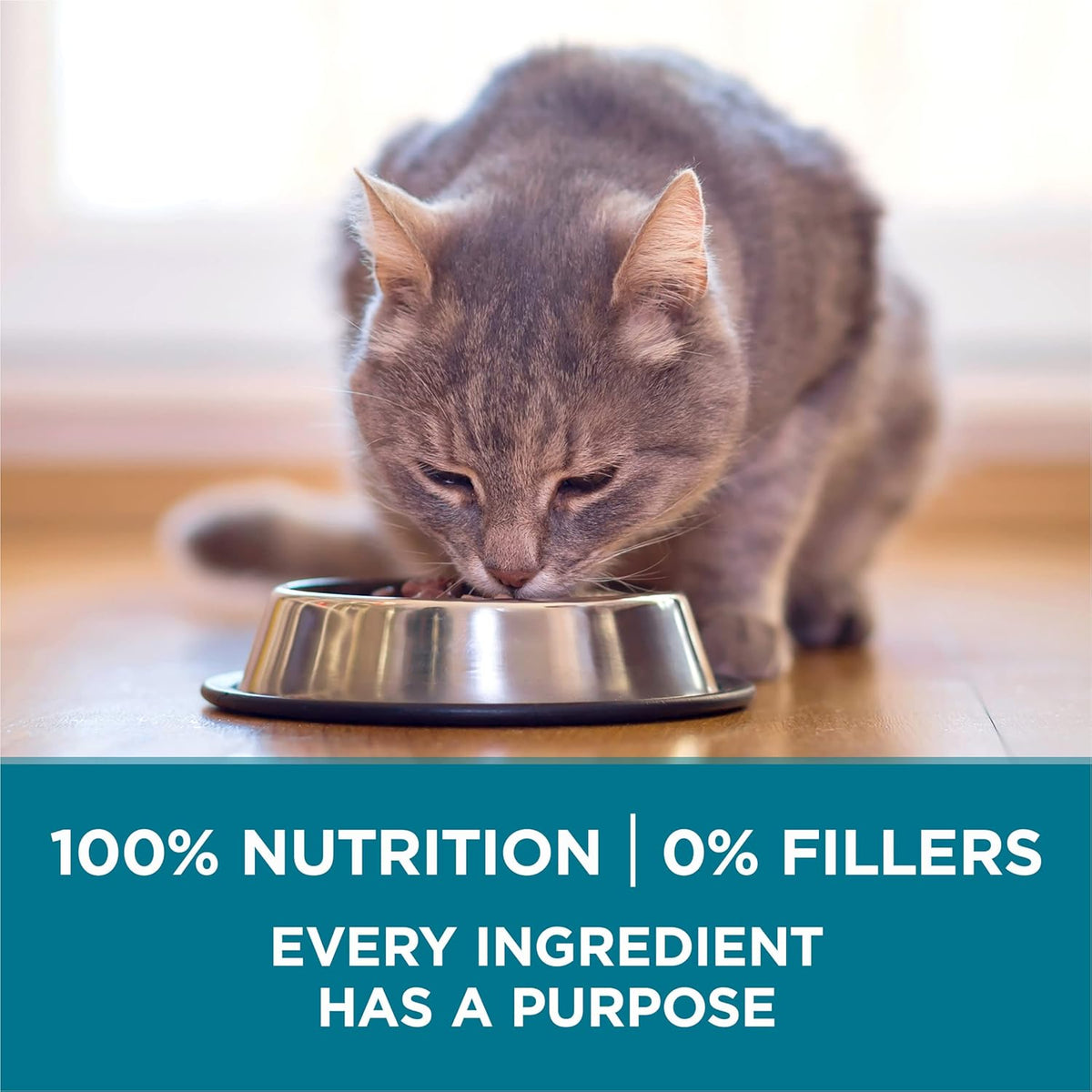 Purina ONE Natural Dry Cat Food, Tender Selects Blend With Real Salmon - 7 lb. Bag