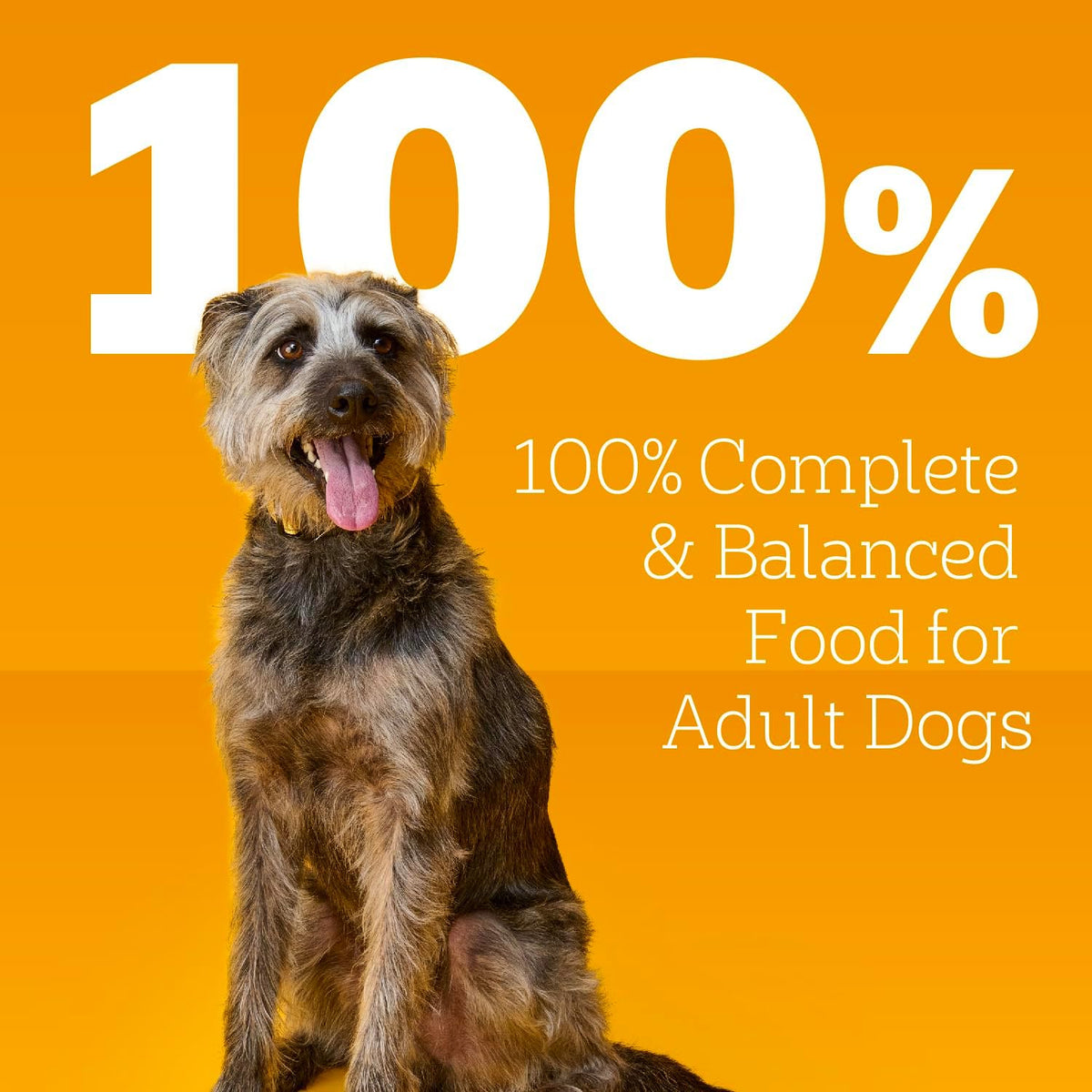 Pedigree Wet Dog Food, Choice Cuts Adult Canned Dog Food, Beef & Country Stew Multipack, 13.2 oz. Cans (12 Count, Pack of 1)
