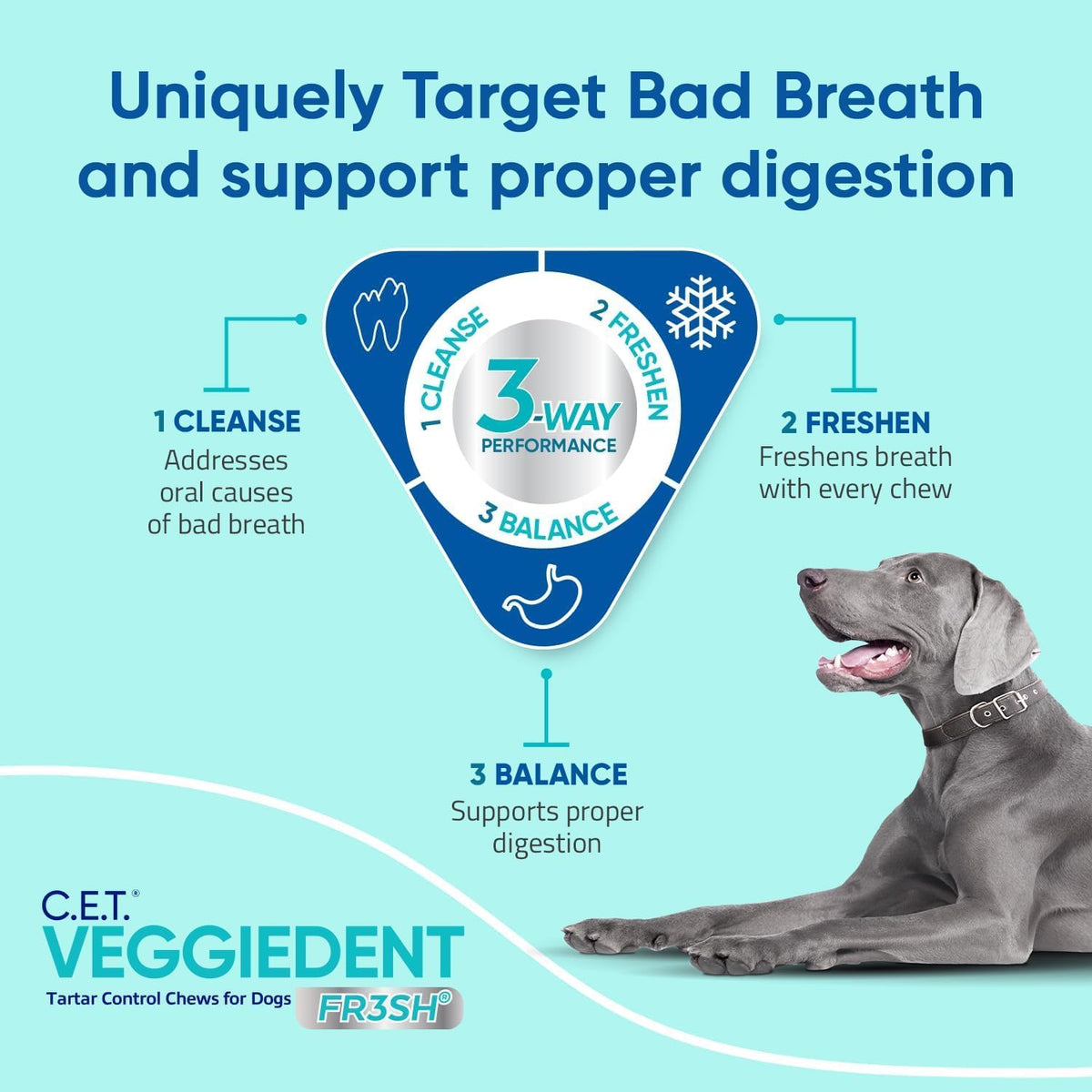 Virbac C.E.T.å¨ VEGGIEDENTå¨ FR3SHå¨ Tartar Control Chews for Dogs with digestive health support, VOHC Approved, Medium 22-66lbs