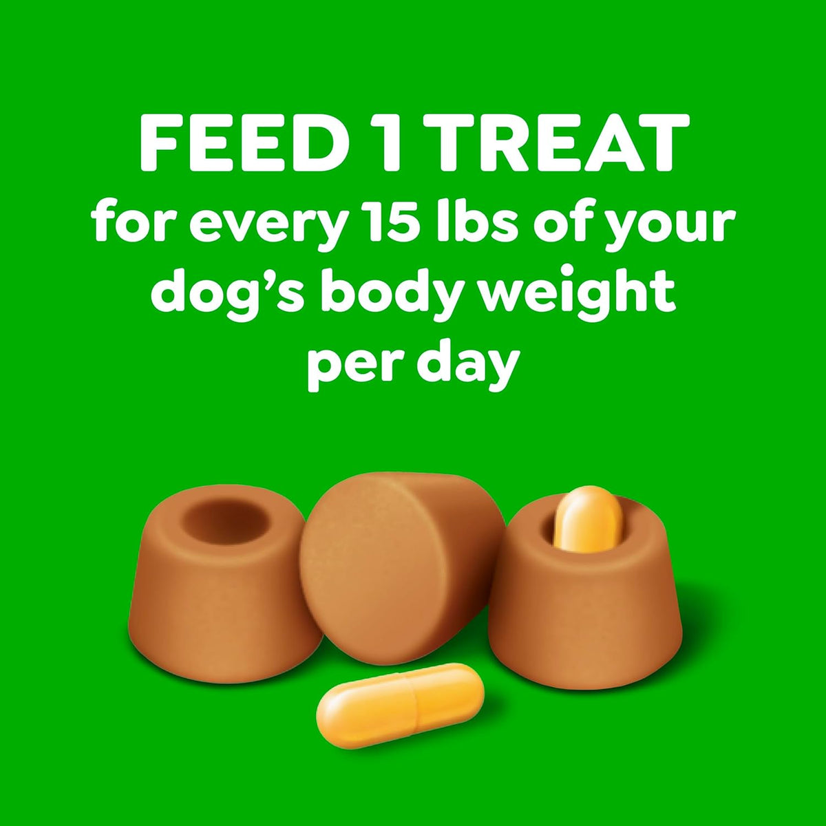 Greenies Pill Pockets for Dogs Large Size, Dog Treat Pouch for Capsule Medication, Peanut Butter Flavor, 15.8 oz. Pouch