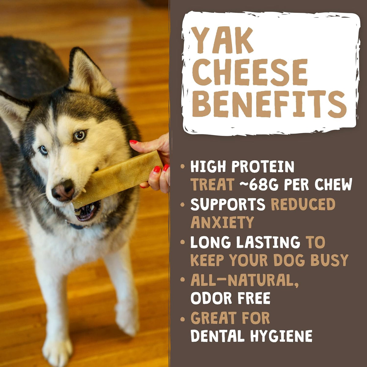 Mighty Paw Yak Cheese Dog Chews ‰ÛÒ All-Natural Long Lasting Hard Chew for Aggressive Chewers ‰ÛÒ High Protein, Odor-Free Dog Treat ‰ÛÒ 3 Ingredient Natural Yak Chews for Large Dogs ‰ÛÒ (4 Pack)