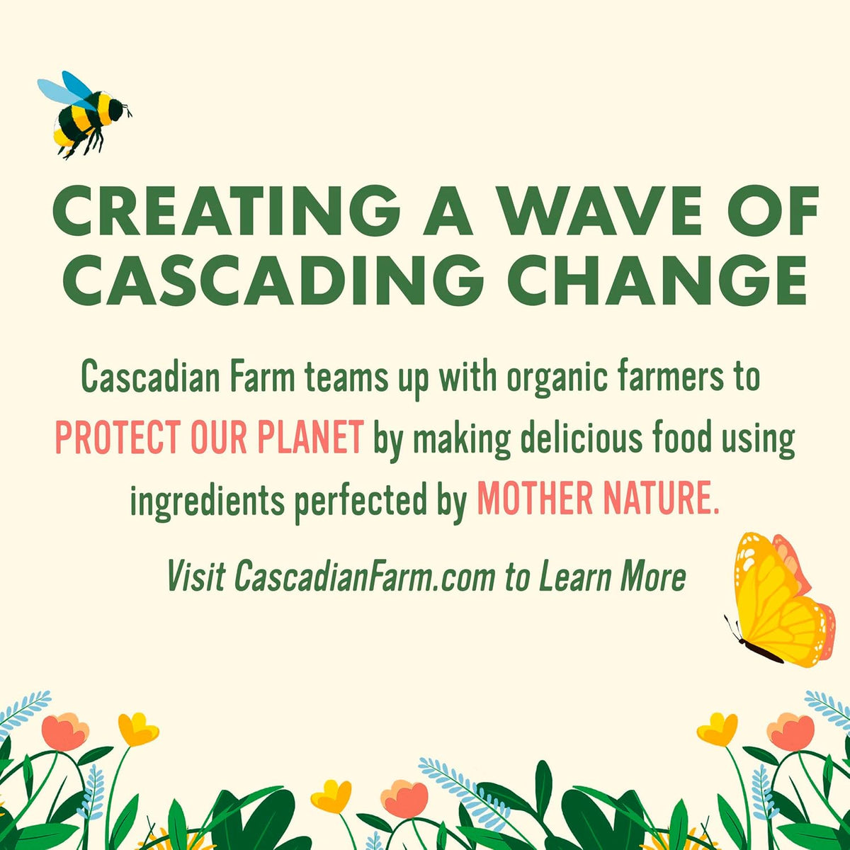 Cascadian Farm Organic Granola, No Added Sugar, Blueberry Vanilla Cereal, Resealable Pouch, 11 oz