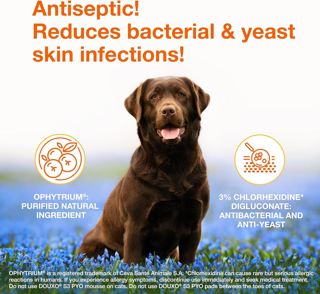 Douxo S3 Pyo Pads, Contains 3% Chlorhexidine & 0.5% Ophytrium, Antiseptic & Hydrating, For Bacterial or Yeast Skin Infections, For Dogs and Cats, 30 Pads