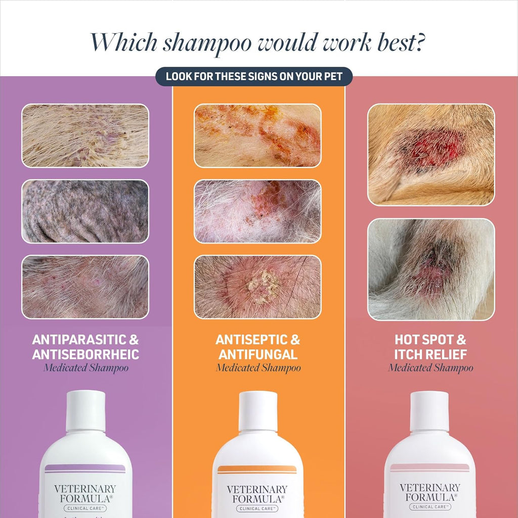 Veterinary Formula Clinical Care Antiseptic and Antifungal Medicated Shampoo for Dogs & Cats, 16 Fl Oz ‰ÛÒ Helps Alleviate Scaly, Greasy, red Skin ‰ÛÒ Paraben, Dye, Soap-Free (1 Pack)