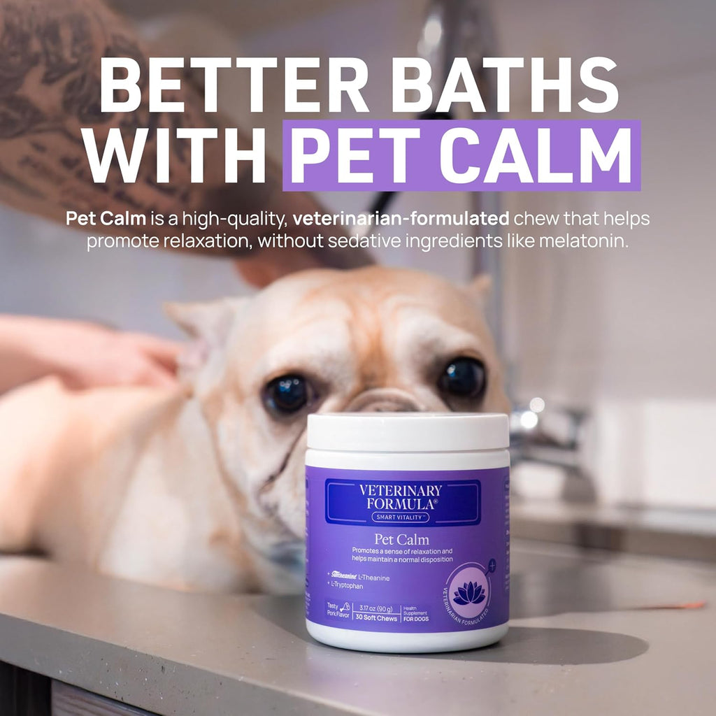 Veterinary Formula Clinical Care Antiseptic and Antifungal Medicated Shampoo for Dogs & Cats, 16 Fl Oz ‰ÛÒ Helps Alleviate Scaly, Greasy, red Skin ‰ÛÒ Paraben, Dye, Soap-Free (1 Pack)