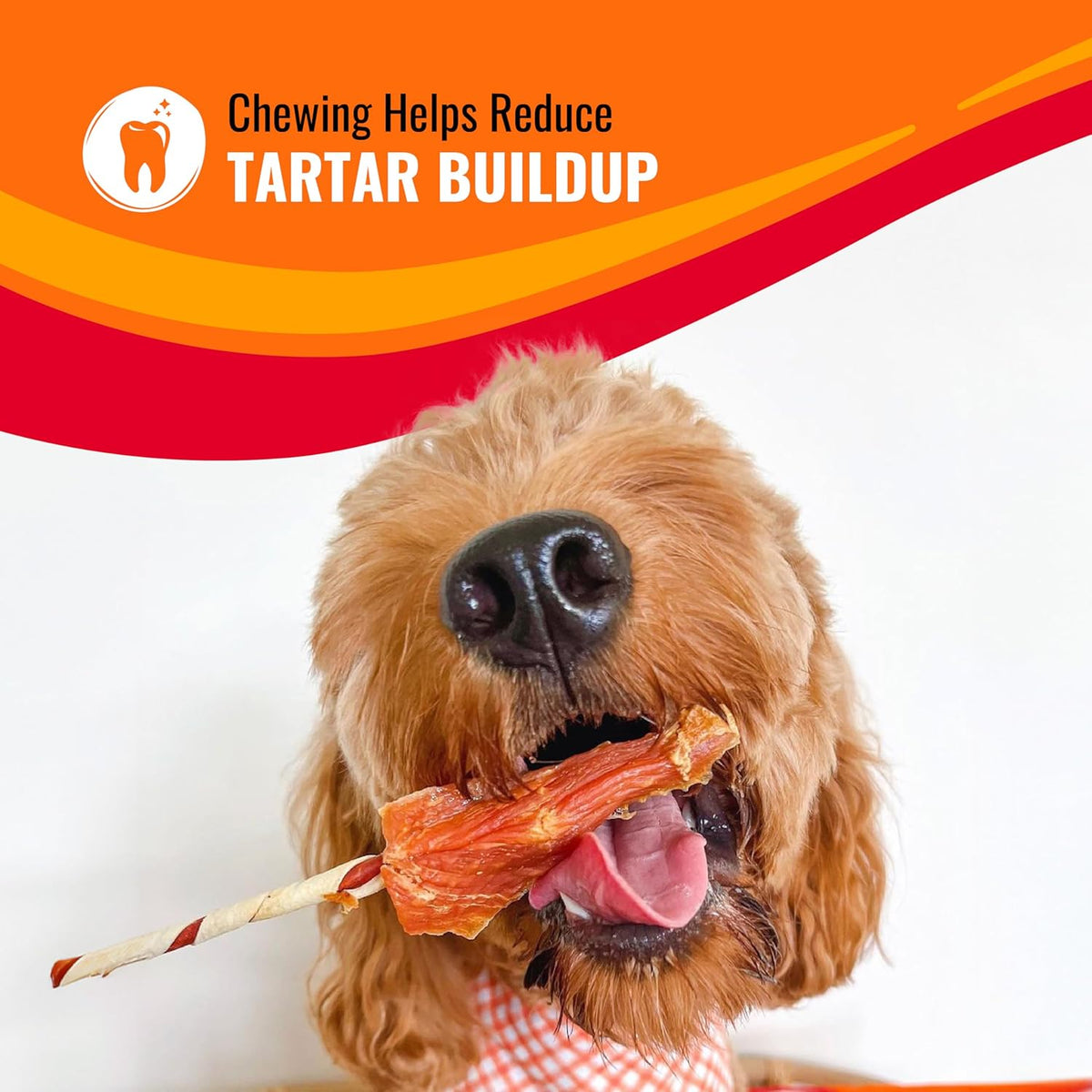 Good ‰Û÷n‰۪ Fun Triple Flavor Rolls for Large Dogs, Treat Your Dog to Long-Lasting Chews Made with Real Beef Hide and Chicken, 6 Count