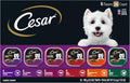 Cesar Wet Dog Food Classic Loaf in Sauce Grilled Chicken, Filet Mignon, Porterhouse Steak, Beef, Chicken & Liver and Turkey Variety Pack 3.5 oz. Easy Peel Trays (36 Count, Pack of 1)