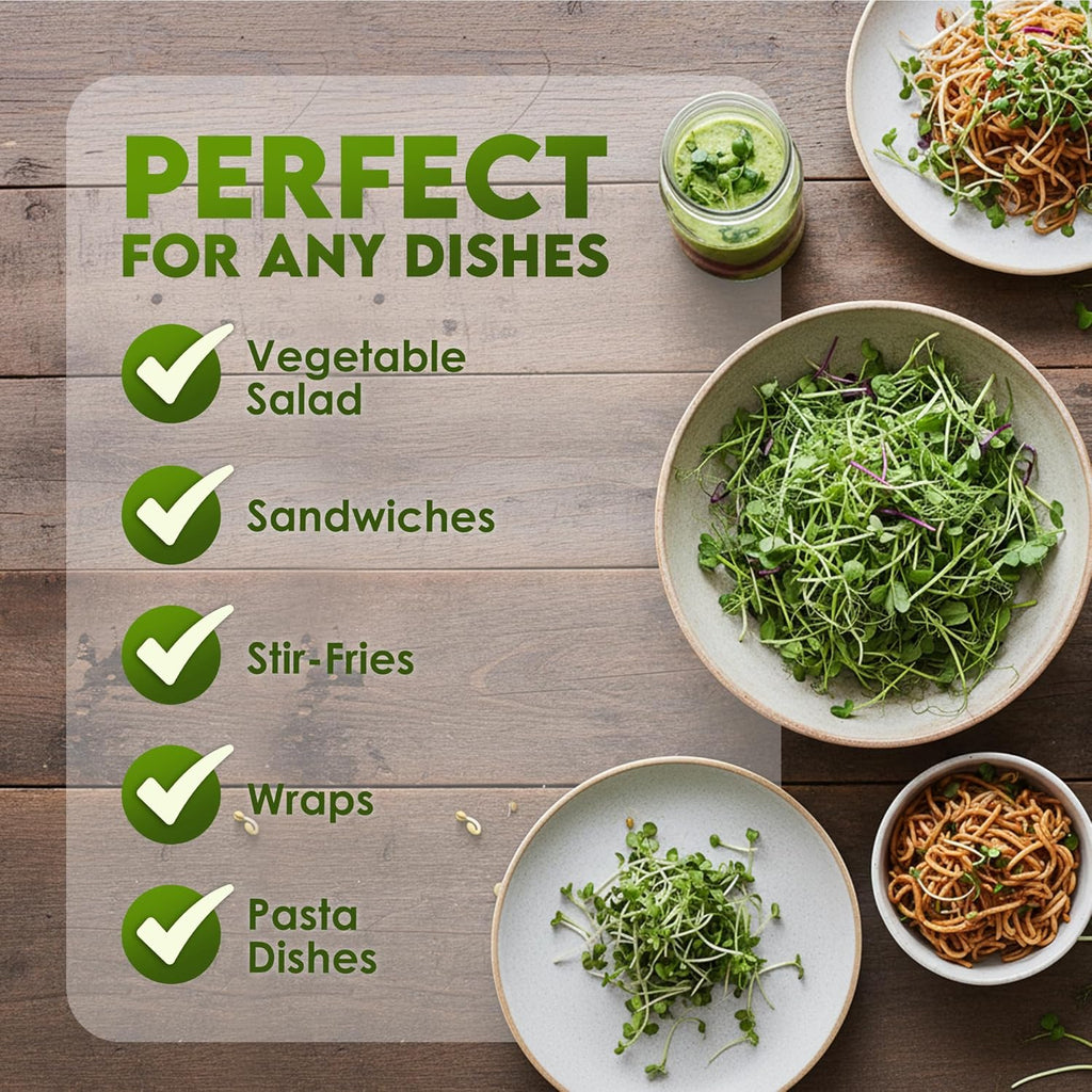 Nature Jim‰۪s Sprouts Organic Salad Mix ‰ÛÒ Non-GMO Microgreen Seeds, Perfect for Growing Nutritious Organic Broccoli, Alfalfa, Radish & Clover Sprouts ‰ÛÒ Easy Indoor/Outdoor Home Sprouting Seeds ‰ÛÒ 1lb