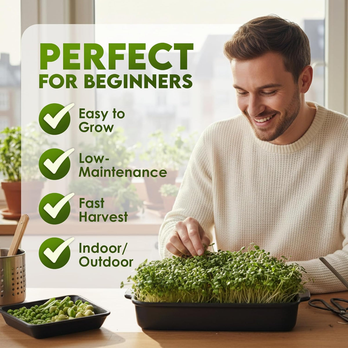 Nature Jim‰۪s Sprouts Organic Salad Mix ‰ÛÒ Non-GMO Microgreen Seeds, Perfect for Growing Nutritious Organic Broccoli, Alfalfa, Radish & Clover Sprouts ‰ÛÒ Easy Indoor/Outdoor Home Sprouting Seeds ‰ÛÒ 1lb