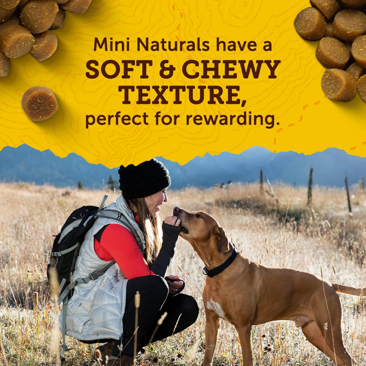 Zuke‰۪s Mini Naturals Dog Training Treats for Dogs, Pet Treats Made with Real Chicken, 16 oz