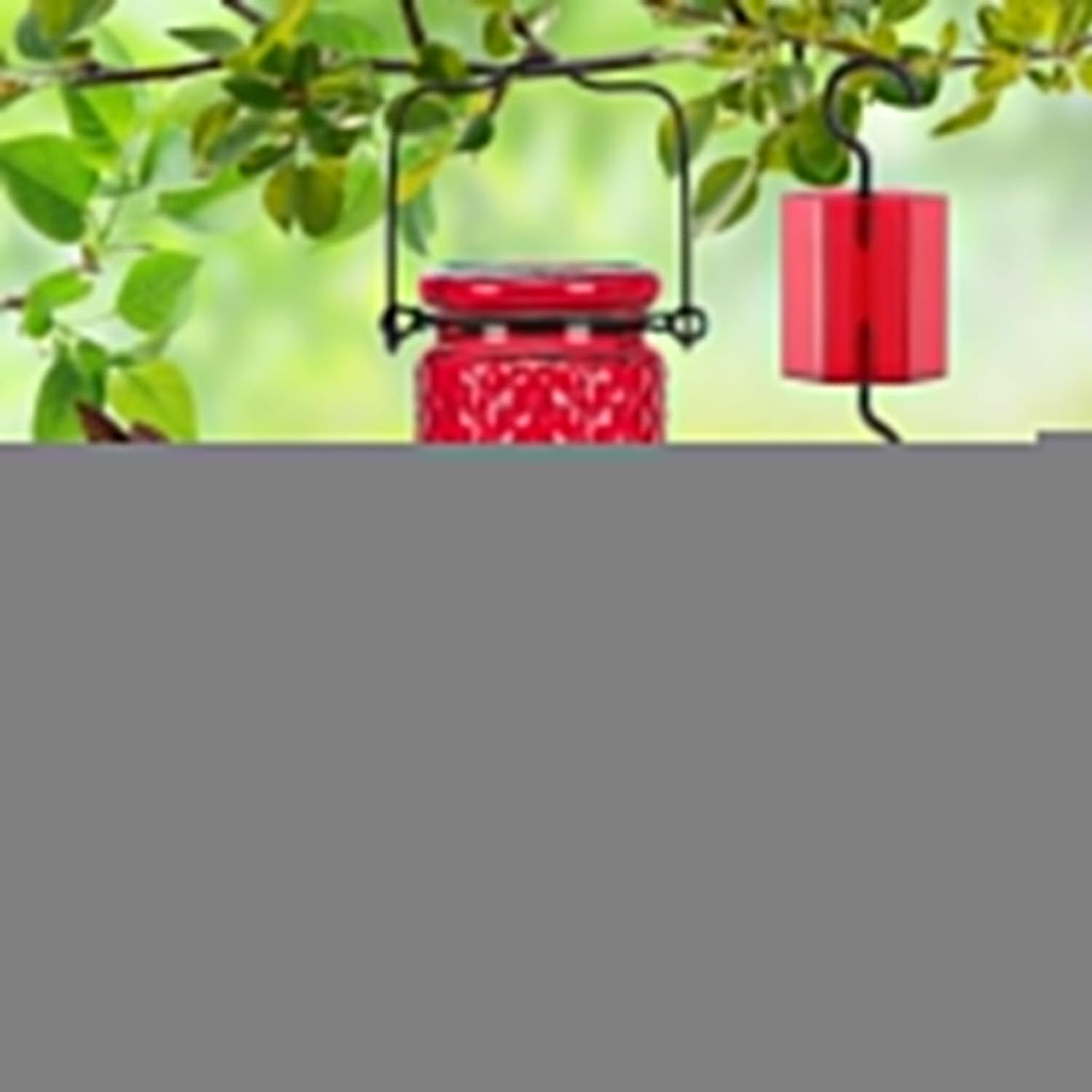 FEED GARDEN Glass Hummingbird Feeder, 16oz Outdoor Hanging Bird Feeder with Ant Moat, 4 Bee-Proof Feeding Ports, 360å¡ Perch, Leak-Proof, Red