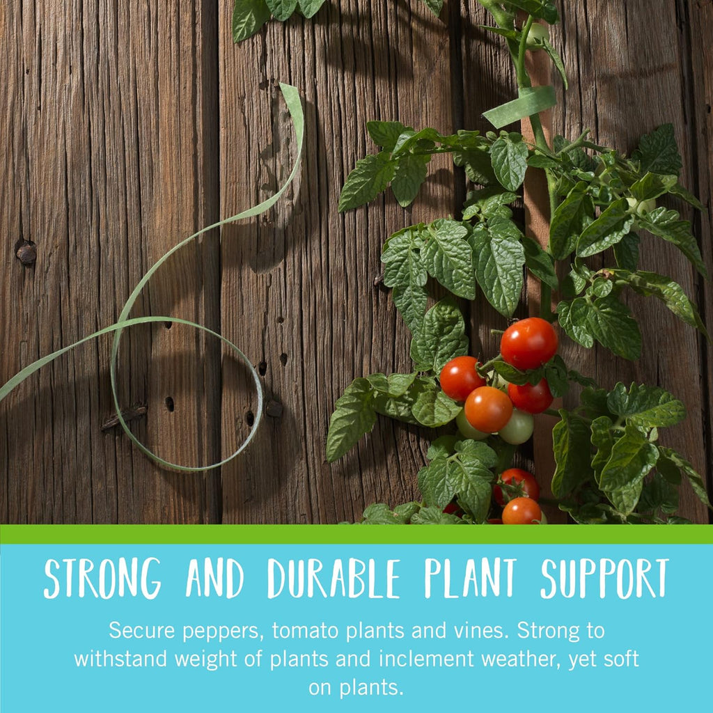 VELCRO Brand VEL-30071-USA ONE-WRAP Garden Ties | Plant Supports for Effective Growing | Strong Grips are Reusable and Adjustable | Cut-to-Length, 50 ft x 1/2 in, Green-Recycled Plastic