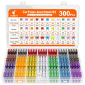 JOREST 300Pcs Car Fuse Assortment Kit, 160 Mini Blade Fuses Automotive + 90 Standard Auto Fuses + 50 Micro + Puller ‰ÛÒ Replacement for RV Camper Boat Truck (2Amp 3A 5A 7.5A 10A 15A 20A 25A 30A 35A 40A)
