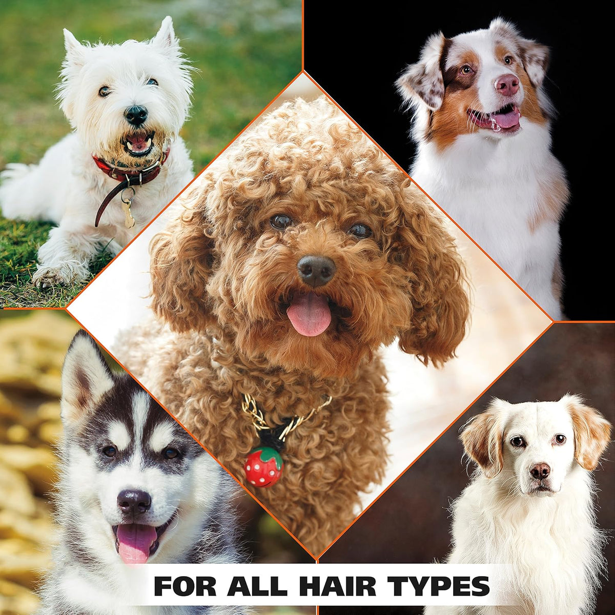 Wahl USA 4-in-1 Calming Dog Shampoo with Lavender Chamomile Scent ‰ÛÒ Cleans, Conditions, Detangles, & Moisturizes - Pet Friendly Formula - 24 Oz - Model 820000A